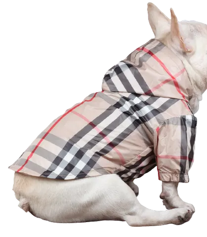 Furberry Raincoat