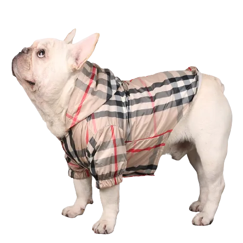 Furberry Raincoat
