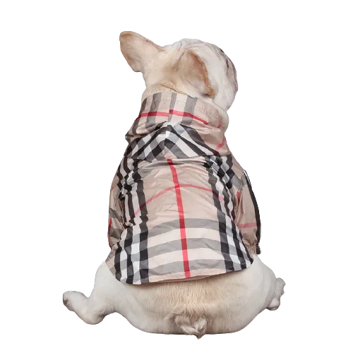 Furberry Raincoat