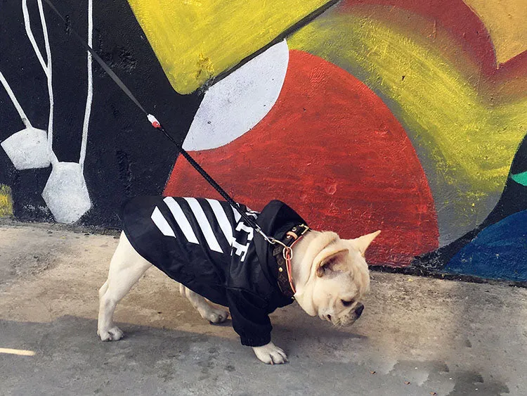 Woof-White Raincoat
