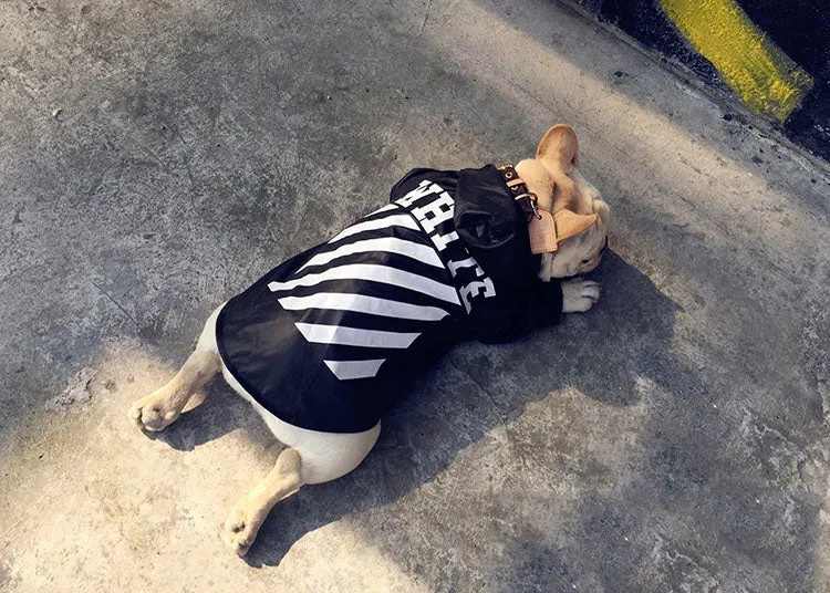 Woof-White Raincoat