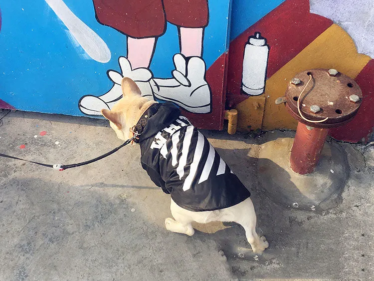 Woof-White Raincoat