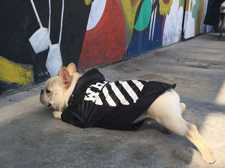 Woof-White Raincoat