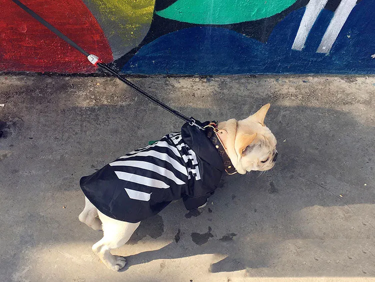 Woof-White Raincoat